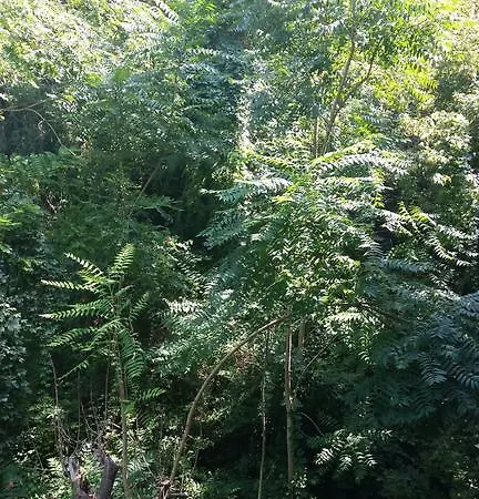 Lägenhet Casetta Ada *